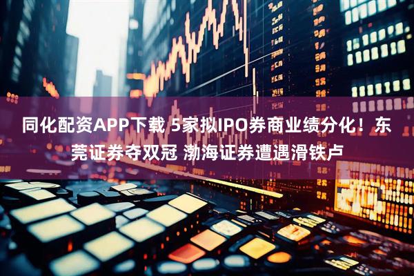 同化配资APP下载 5家拟IPO券商业绩分化！东莞证券夺双冠 渤海证券遭遇滑铁卢